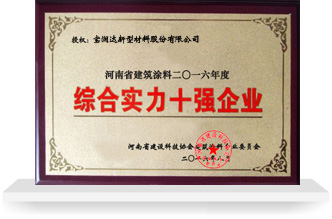 綜合實力十強企業(yè)